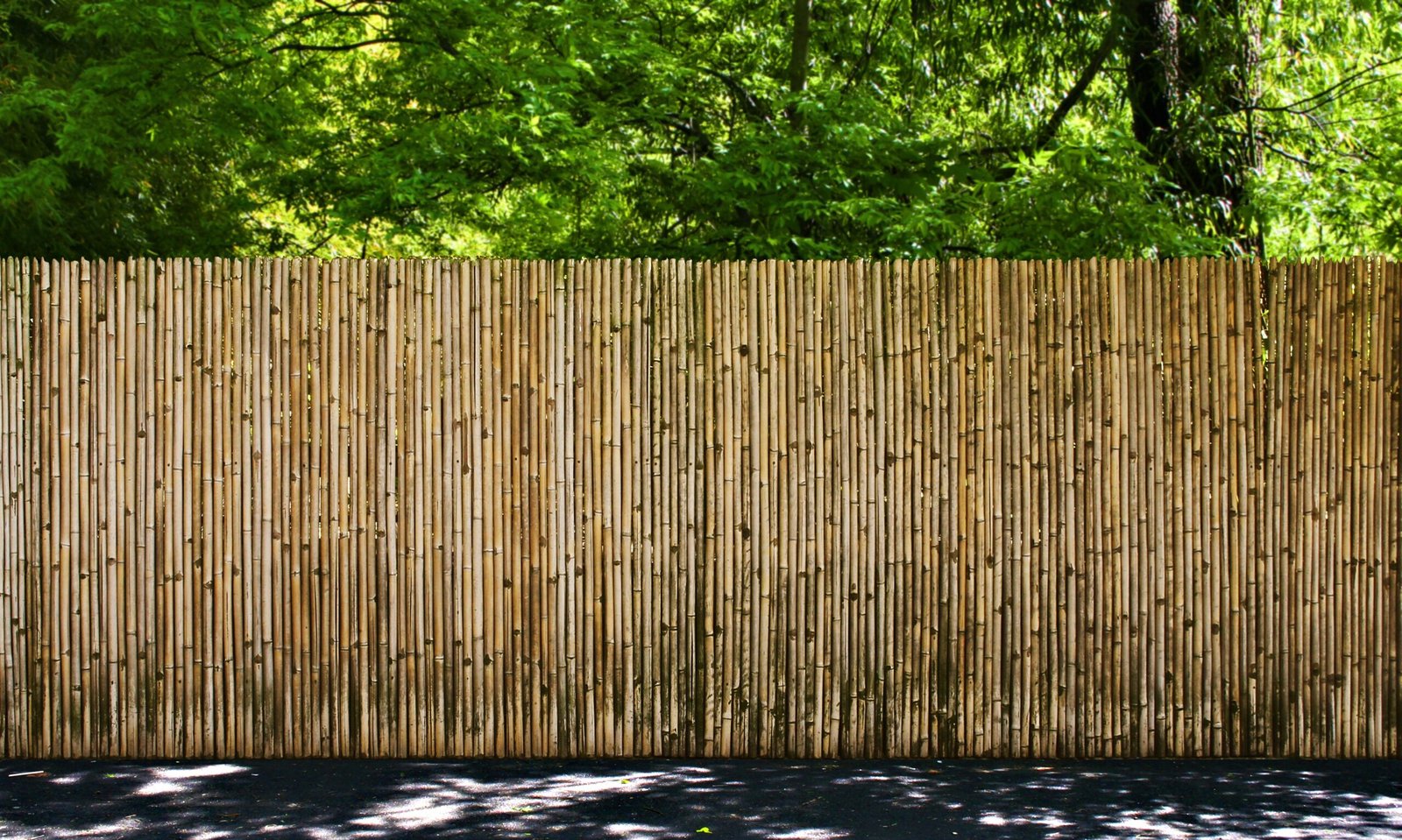 Bamboo Fencing Brings Oriental Charm to Your Building