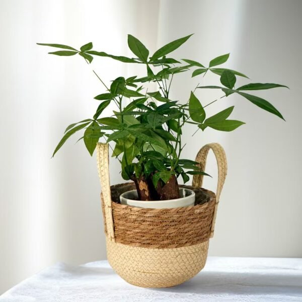 Straw - Woven Flower Basket, Woven Flower Pot, Nordic Handheld Flower Basket, Storage Plant Basket, Green Plant Gardening, Straw - Woven Flower Planter